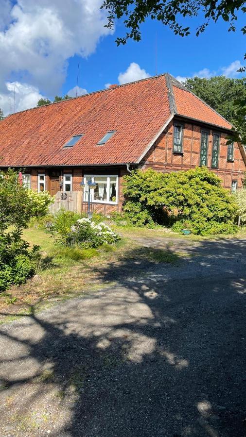Hof Dueshop Appartement Bad Fallingbostel Buitenkant foto