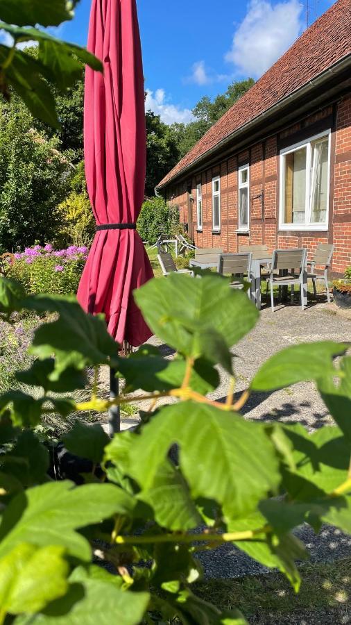 Hof Dueshop Appartement Bad Fallingbostel Buitenkant foto
