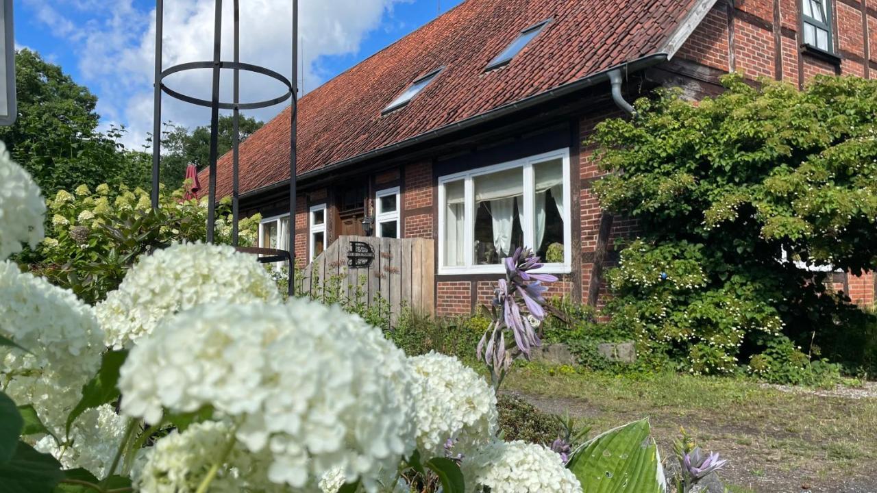 Hof Dueshop Appartement Bad Fallingbostel Buitenkant foto