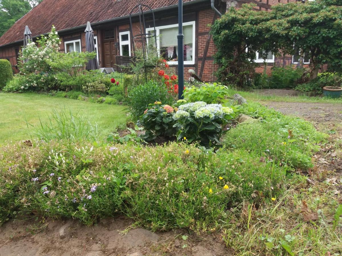 Hof Dueshop Appartement Bad Fallingbostel Buitenkant foto