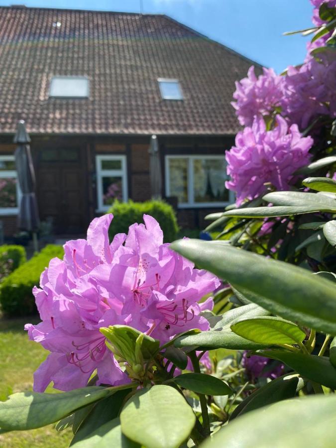 Hof Dueshop Appartement Bad Fallingbostel Buitenkant foto